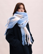 Load image into Gallery viewer, Plaid Tassel Scarf