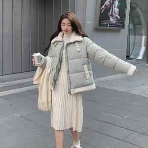 High Collar Puffer Jacket