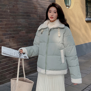 High Collar Puffer Jacket