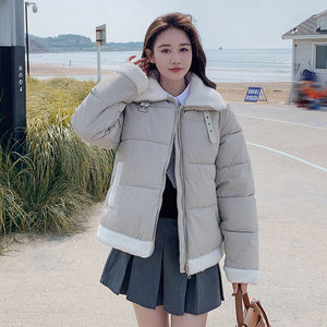 High Collar Puffer Jacket