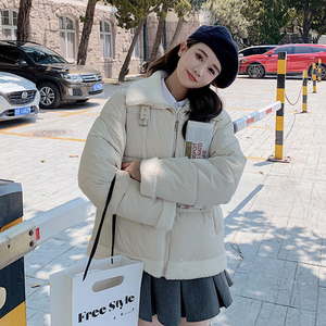 High Collar Puffer Jacket