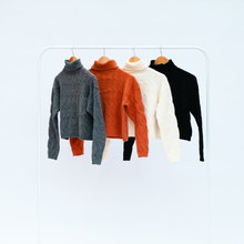 Load image into Gallery viewer, Cropped Knit Turtleneck
