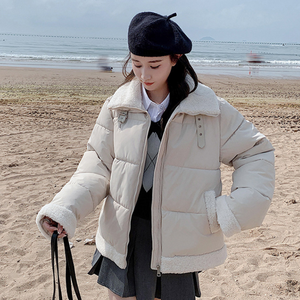 High Collar Puffer Jacket