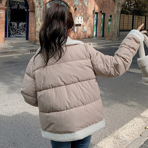 High Collar Puffer Jacket