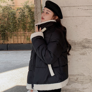 High Collar Puffer Jacket